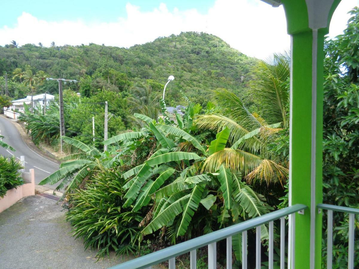 Jardin Bananier Apartment Deshaies Bagian luar foto